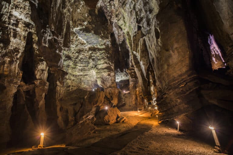 Private Transfer Cradle of Humankind & Sterkfontein Caves Tour